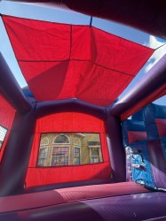 Sleeping20Beauty20castle20combo204 1763943717 SLEEPING BEAUTY COMBO DOUBLE SLIDE