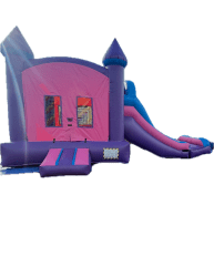 SLEEPING BEAUTY  COMBO DOUBLE SLIDE